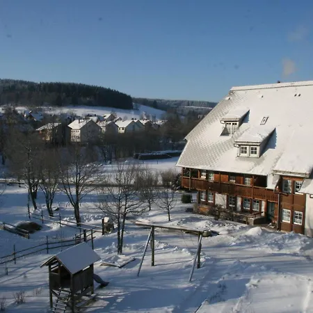 Converted Old Mill In St Georgen Inblack Forest