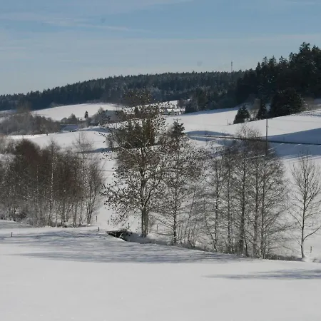 Holiday home Converted Old Mill In St Georgen Inblack Forest