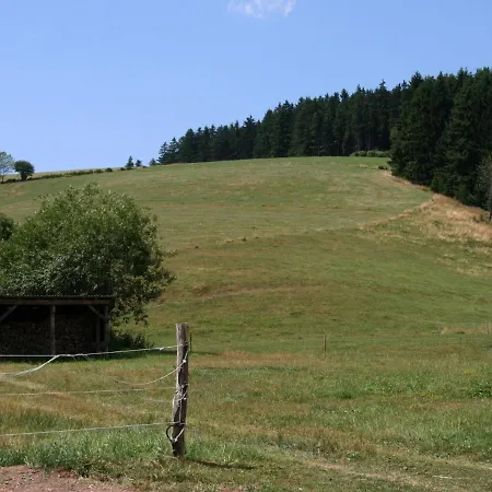 Converted Old Mill In St Georgen Inblack Forest Holiday home
