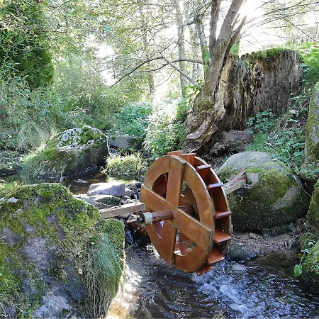 Holiday home Converted Old Mill In St Georgen Inblack Forest *