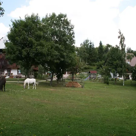 Historisches Im Schwarzwald * Sankt Georgen im Schwarzwald