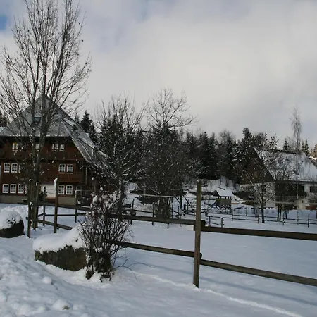 Historisches Im Schwarzwald Σπίτι διακοπών