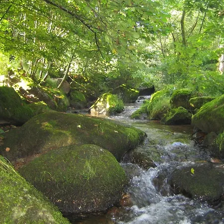 Historisches Im Schwarzwald